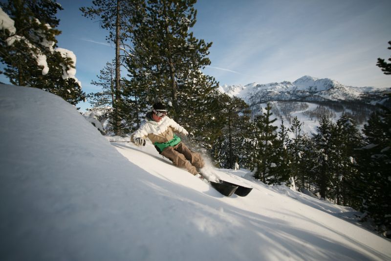 Snowboardeur dans la poudreuse entre les pins de Montgenèvre, sommets ensoleillés en arrière-plan