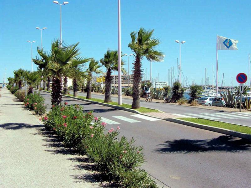Une avenue bordée de palmiers et de lauriers-roses le long du port de Port-Barcarès, un cycliste et les mâts des voiliers en arrière-plan
