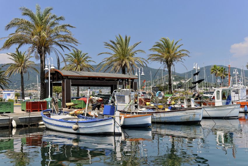 Pointus, les barques de pêche traditionnelles, amarrés au quai des pêcheurs de Cavalaire-sur-Mer devant la halle et les palmiers