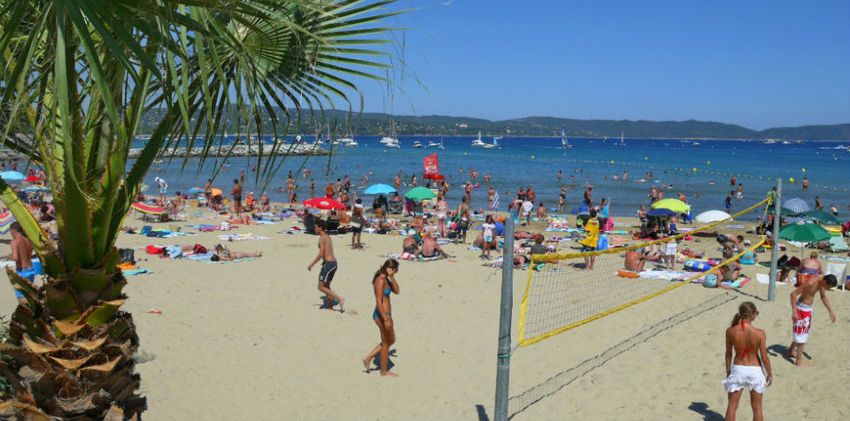 La plage du centre de Cavalaire-sur-Mer en été : palmier, filet de beach-volley, parasols et baigneurs, les collines de la baie en face