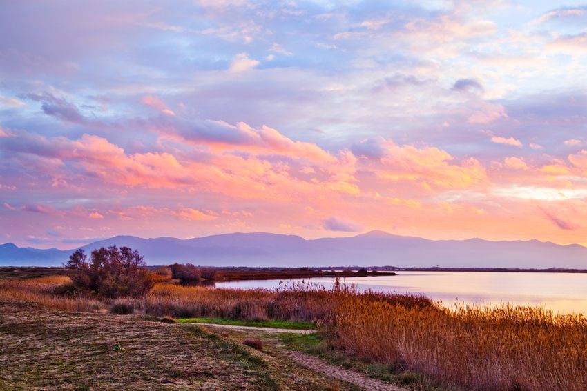 Coucher de soleil rose et mauve sur un étang du Roussillon, roseaux dorés au premier plan et montagnes à l'horizon