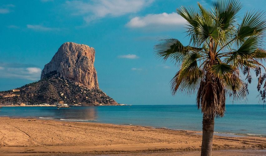Le sable de la plage de l'Arenal-Bol, un palmier et le Peñón d'Ifach qui ferme la baie, avec le port à son pied