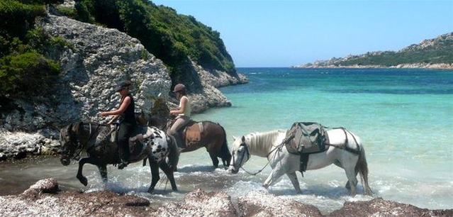 Promenades à cheval