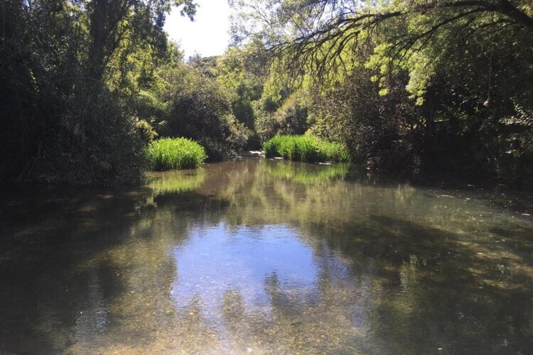 Casa Bela Esperança – Gîte 8 pers. avec piscine - Photo 25