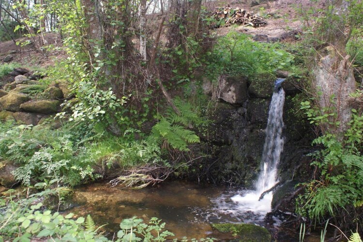 Casa Covas : maison 5 pers., piscine écologique et véranda rivière - Photo 29