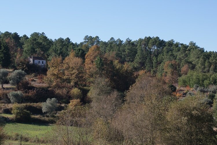 Casa Retiro : gîte campagne avec piscine à Covas - Photo 19
