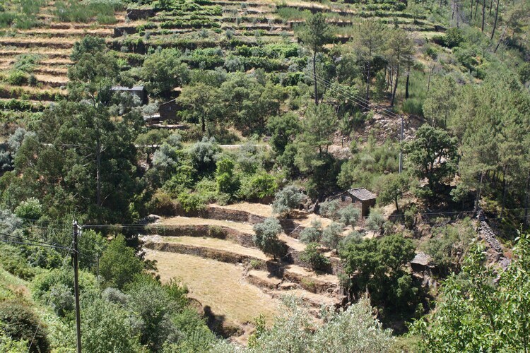 Casa Retiro : gîte campagne avec piscine à Covas - Photo 25