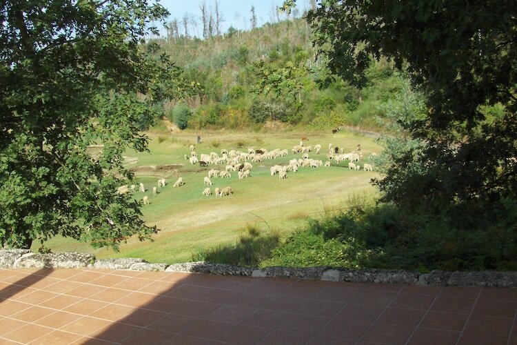 Quinta do Fim, maison au bord du Dão - Photo 29
