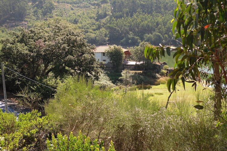 Quinta do Fim, maison au bord du Dão - Photo 30