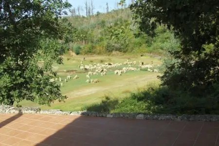 Quinta do Fim, maison au bord du Dão : photo 29