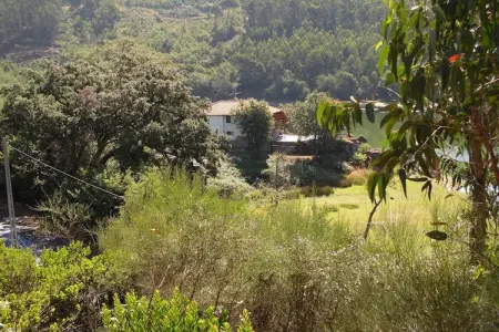 Quinta do Fim, maison au bord du Dão : photo 30