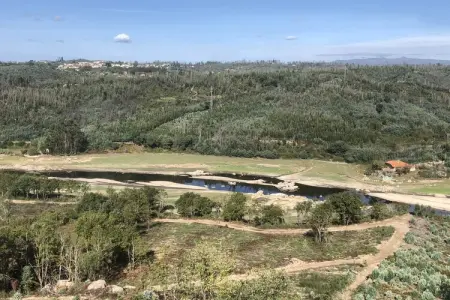 Quinta do Fim, maison au bord du Dão : photo 33