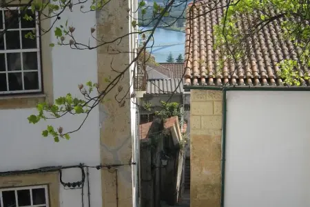 Quinta do Fim, maison au bord du Dão : photo 34