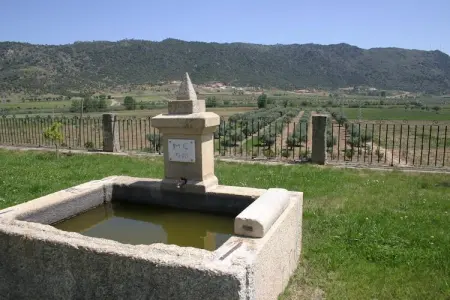 Casa da Capela – Gîte 6 personnes avec piscine à Vila Flor : photo 31