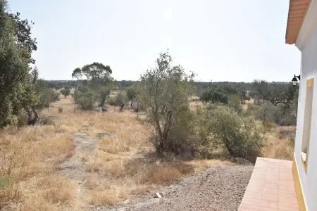 Quinta do Couto, Villa tranquille de l'Alentejo avec piscine - Photo 27