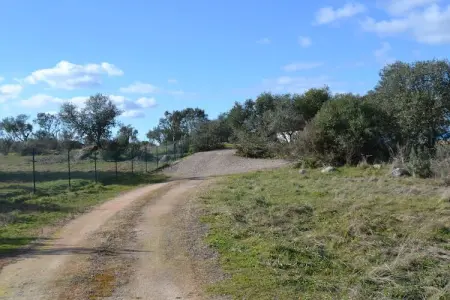 Quinta do Couto, Villa tranquille de l'Alentejo avec piscine - Photo 31