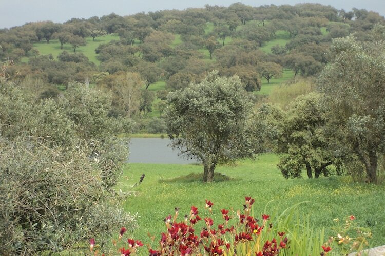 Casa do Forno : maison 6 pers. avec piscine en Alentejo - Photo 25