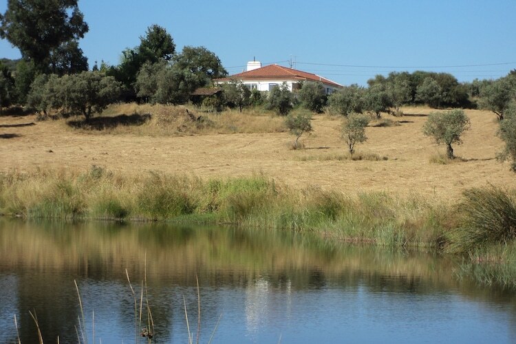 Casa do Forno : maison 6 pers. avec piscine en Alentejo - Photo 27
