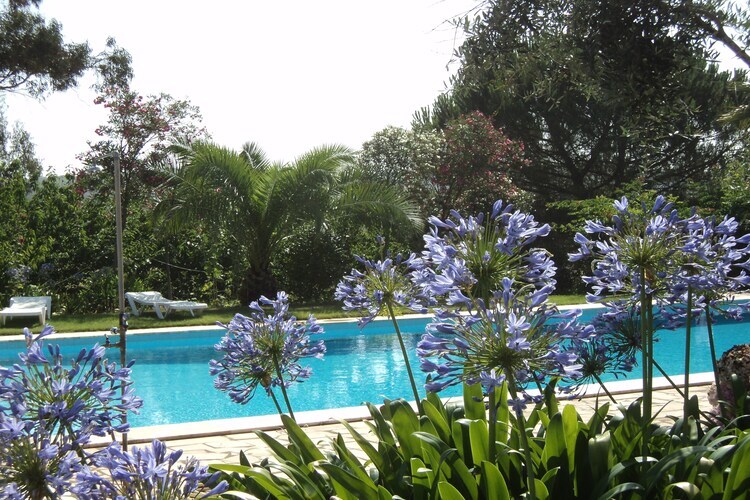 Casa do Forno : maison 6 pers. avec piscine en Alentejo - Photo 31