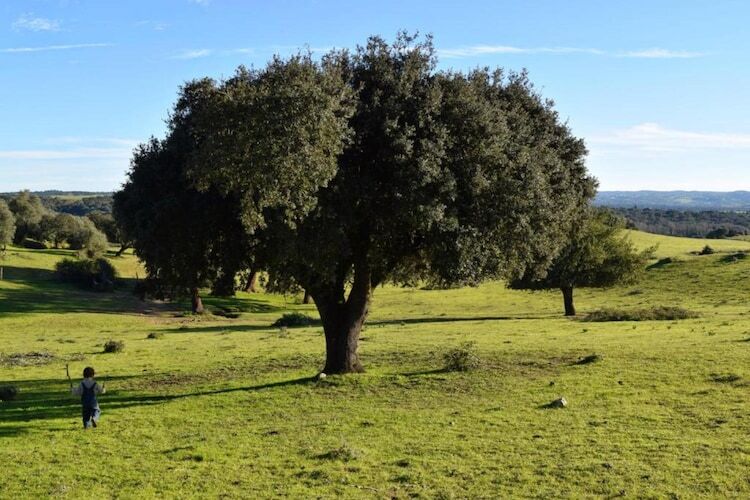 Casa do Forno : maison 6 pers. avec piscine en Alentejo - Photo 35