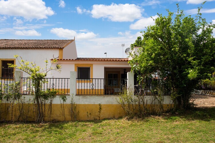 Gîte rural Casa de Olival à Montemor-o-Novo - Photo 1