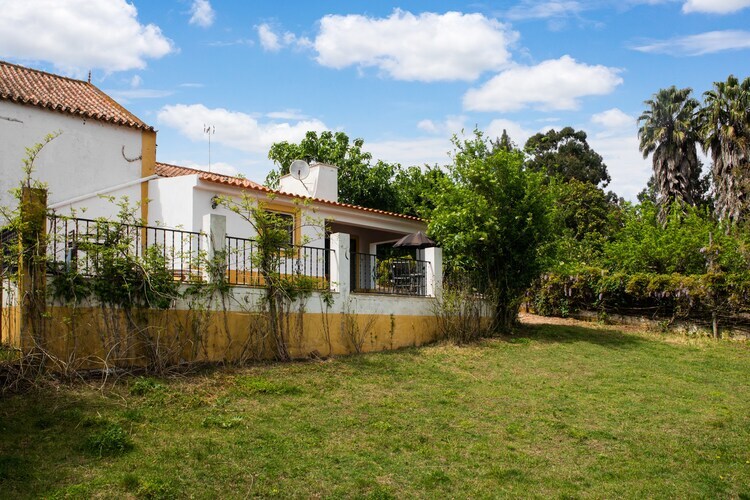 Gîte rural Casa de Olival à Montemor-o-Novo - Photo 6