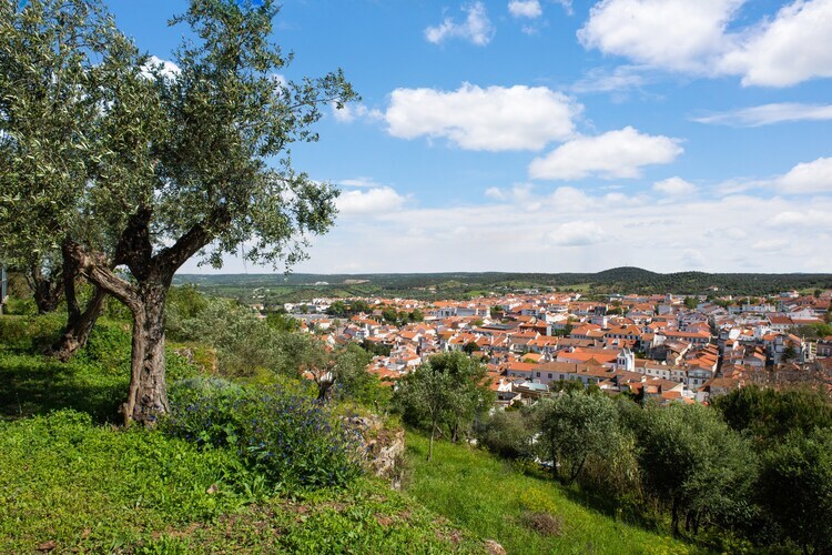 Gîte rural Casa de Olival à Montemor-o-Novo - Photo 33