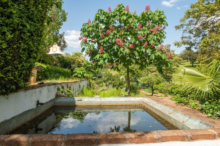 Casa da Figeira, gîte rural 4 pers. à Montemor-o-Novo - Photo 11