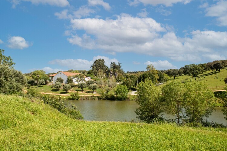Casa da Figeira, gîte rural 4 pers. à Montemor-o-Novo - Photo 29