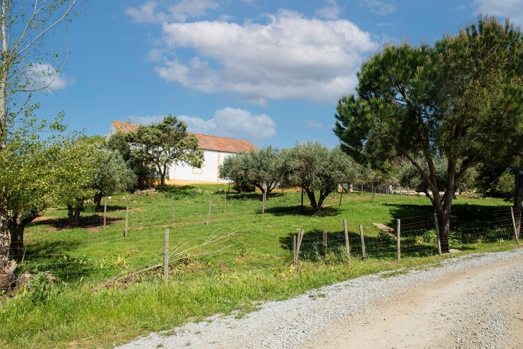 Casa da Figeira, gîte rural 4 pers. à Montemor-o-Novo - Photo 30