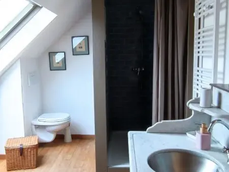 Gîte de la Biche en Sologne, 6 pers., cheminée : photo 11