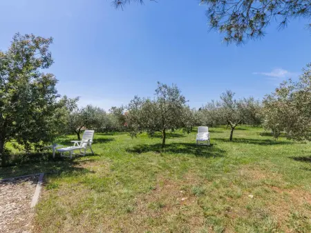 Villa Mia Anima à Vodnjan, piscine privée 8 personnes : photo 21