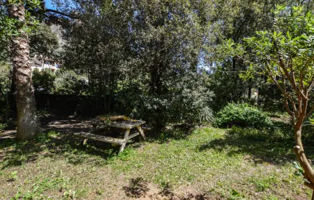 Maison 2 chambres en Corse, cœur de nature à Ajaccio : photo 10