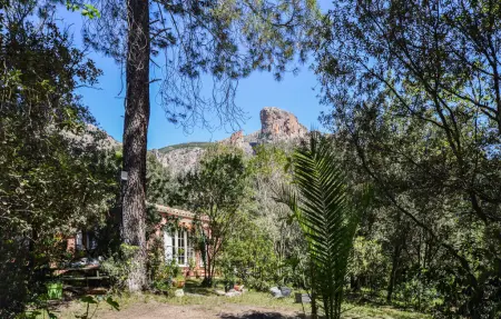 Maison 2 chambres en Corse, cœur de nature à Ajaccio : photo 11
