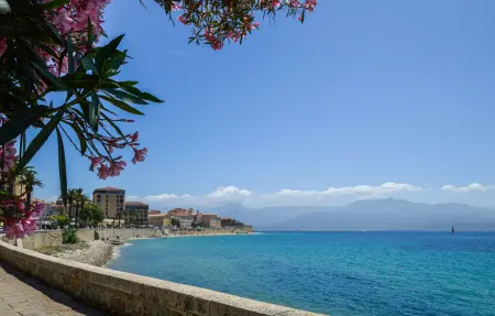 Maison 2 chambres en Corse, cœur de nature à Ajaccio : photo 14
