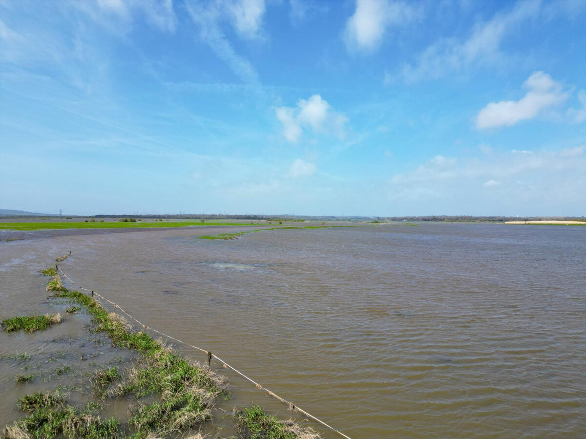 Gîte plain-pied au Cotentin avec 2 kayaks et jardin clos - Photo 22
