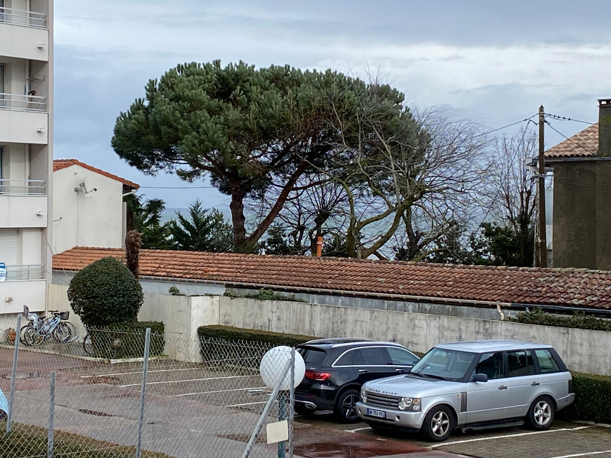 T2 Cabine 25m² Arcachon, Accès Direct Plage - Photo 12