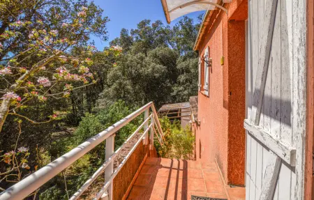 Appartement 4 pers. en ferme, côte ouest corse : photo 2