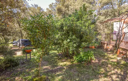 Appartement 4 pers. en ferme, côte ouest corse : photo 10