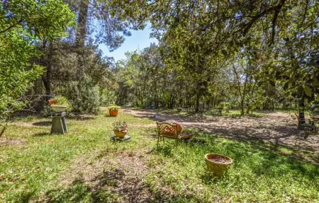 Appartement 4 pers. en ferme, côte ouest corse : photo 11