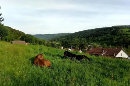 La Coccinelle - Chalet 2 pers. à Saint-Maurice : photo 25