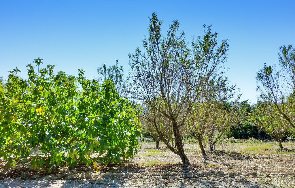Villa Carraire de Micoulari – Piscine chauffée & vue Alpilles - Photo 18