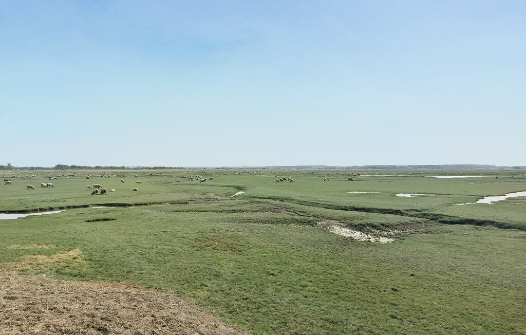 Maison Baie de Somme, vue mer et piste cyclable - Photo 21