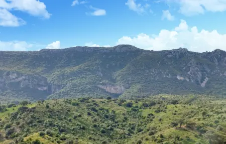 Maison rustique à Algodonales, vue sur la Sierra : photo 6