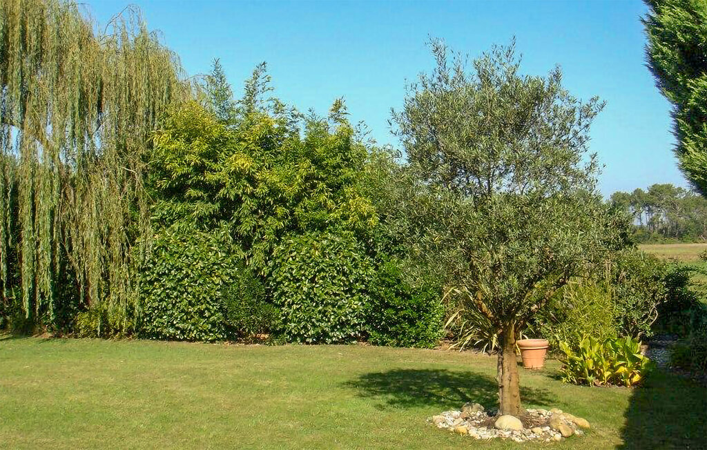 Maison 150 m² avec piscine chauffée à Léon - Photo 9