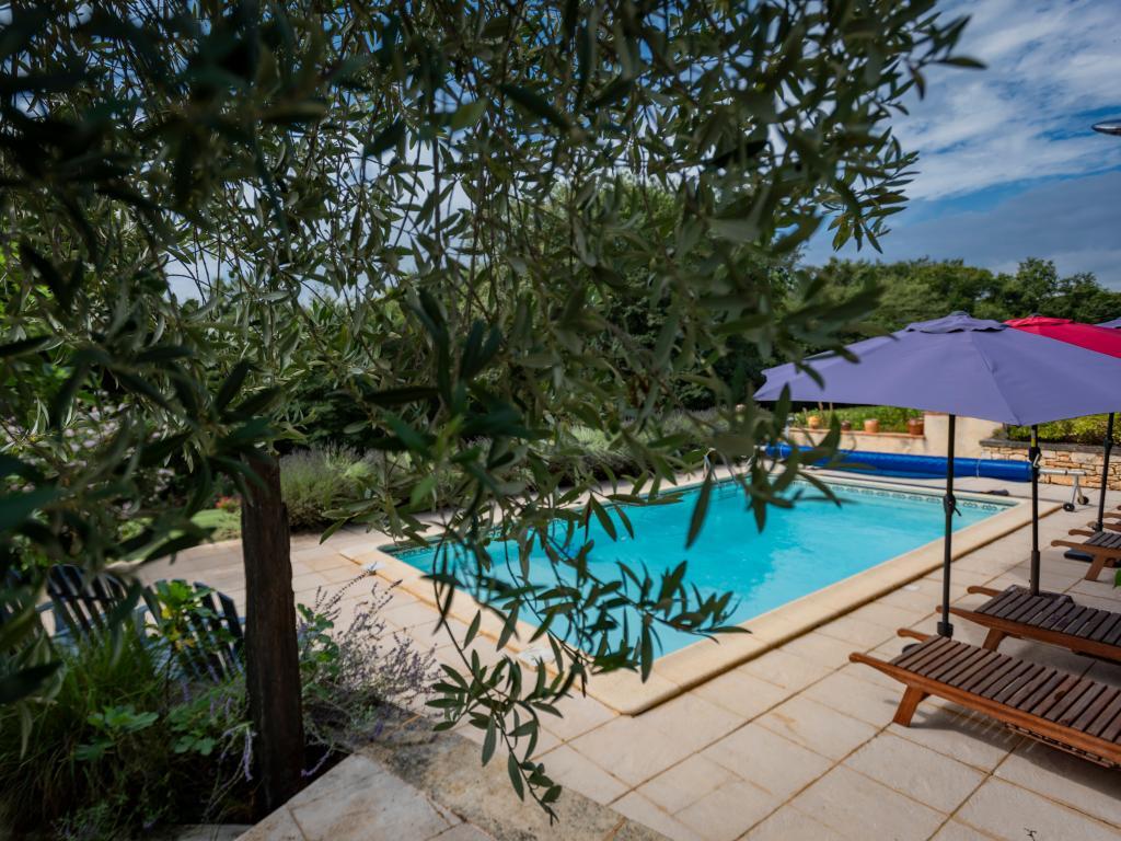 Maison Micouleaud, demeure du 17e siècle avec piscine - Photo 3
