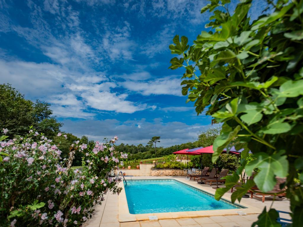 Maison Micouleaud, demeure du 17e siècle avec piscine - Photo 9
