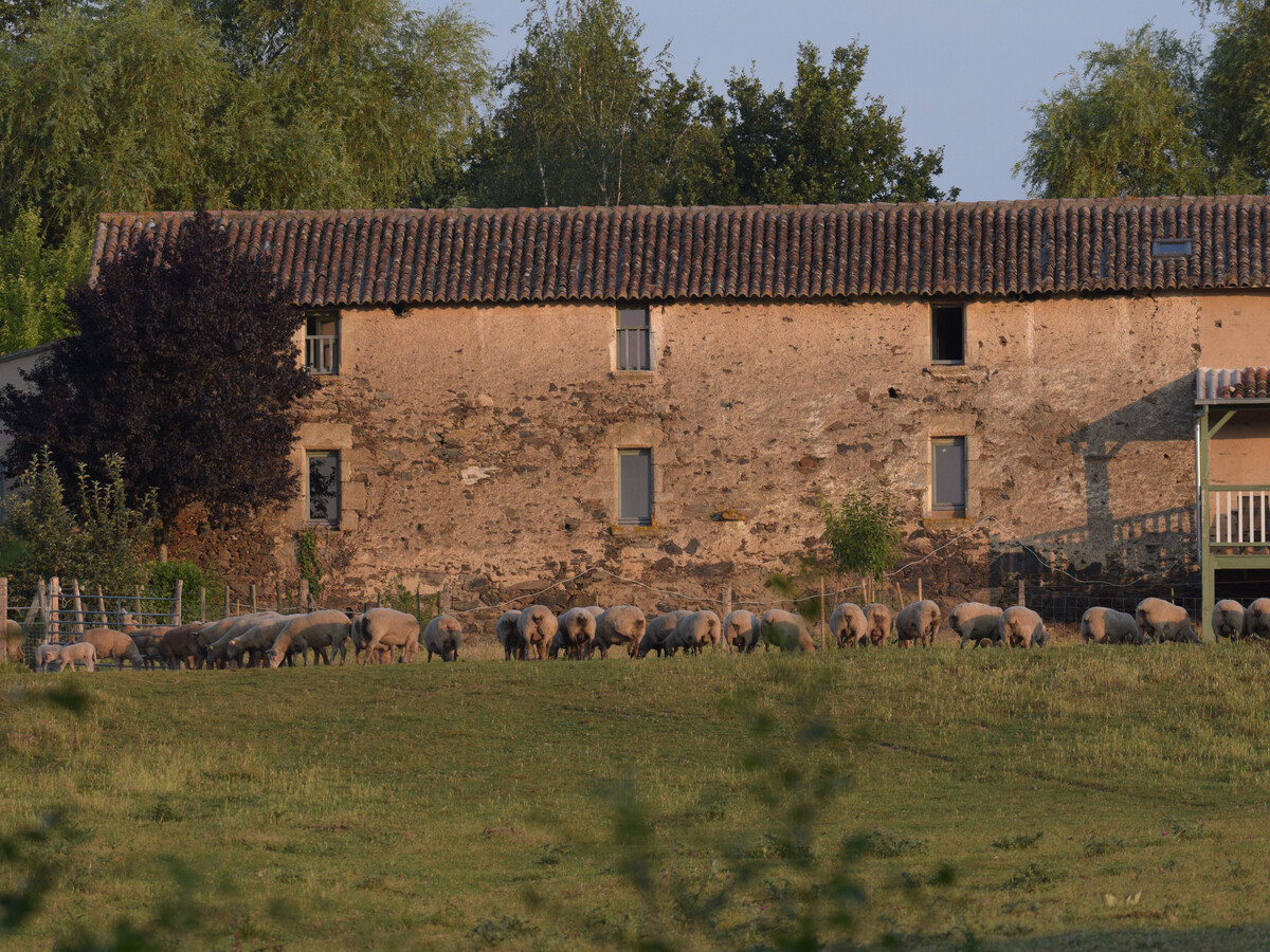 Gîte de la Gaucherie aux Dames à Montilliers - Photo 20