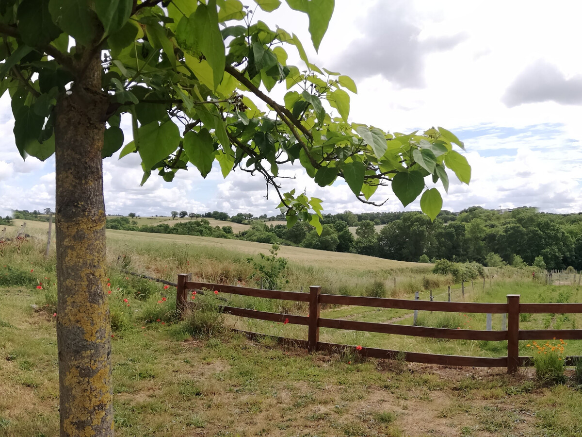 Gîte dans ancien couvent, vue campagne, rivière - Photo 24