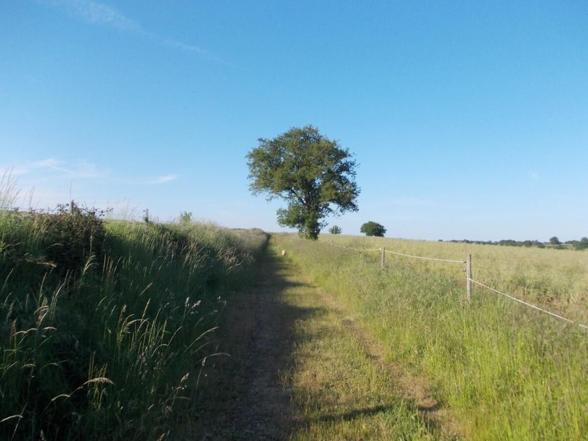 Gîte dans ancien couvent, vue campagne, rivière - Photo 28